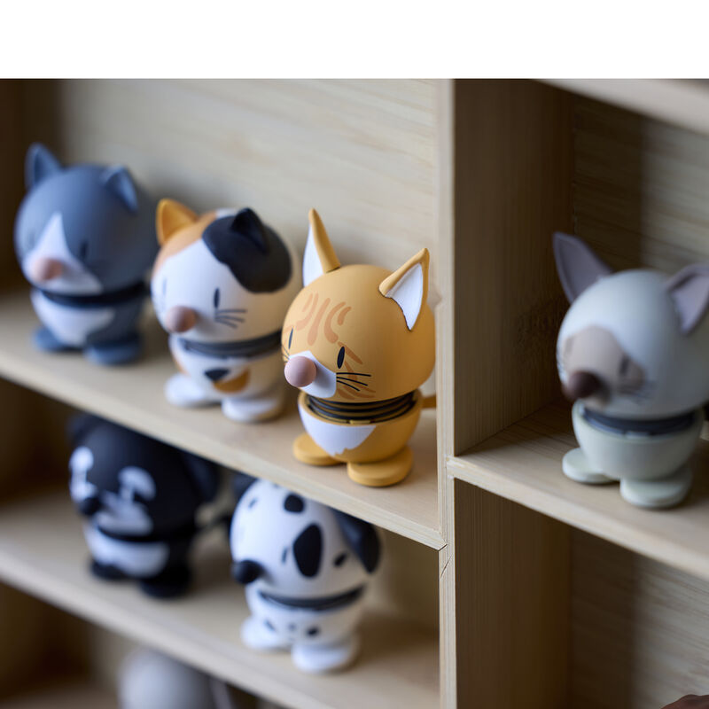 Blue American Shorthair Hoptimist