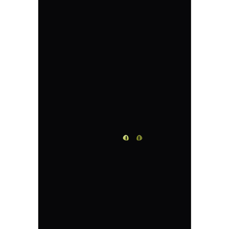 Cat Hoptimist