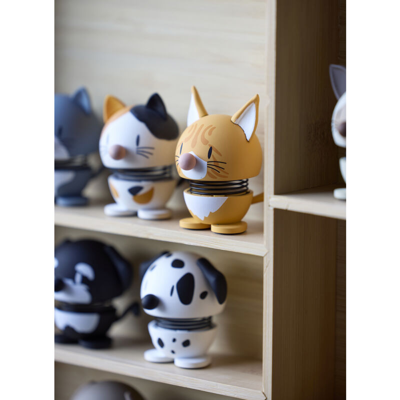 Orange Tabby Hoptimist