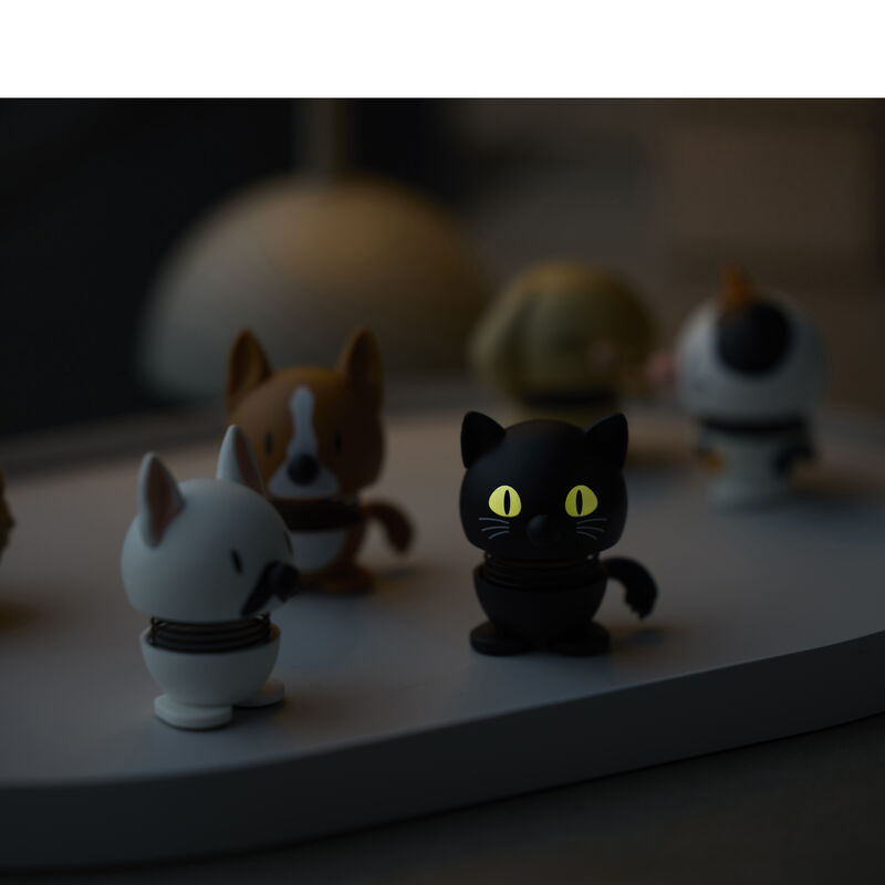 Cat Hoptimist