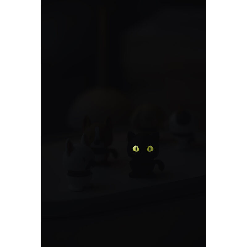 Cat Hoptimist