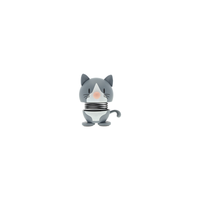 Blue American Shorthair Hoptimist