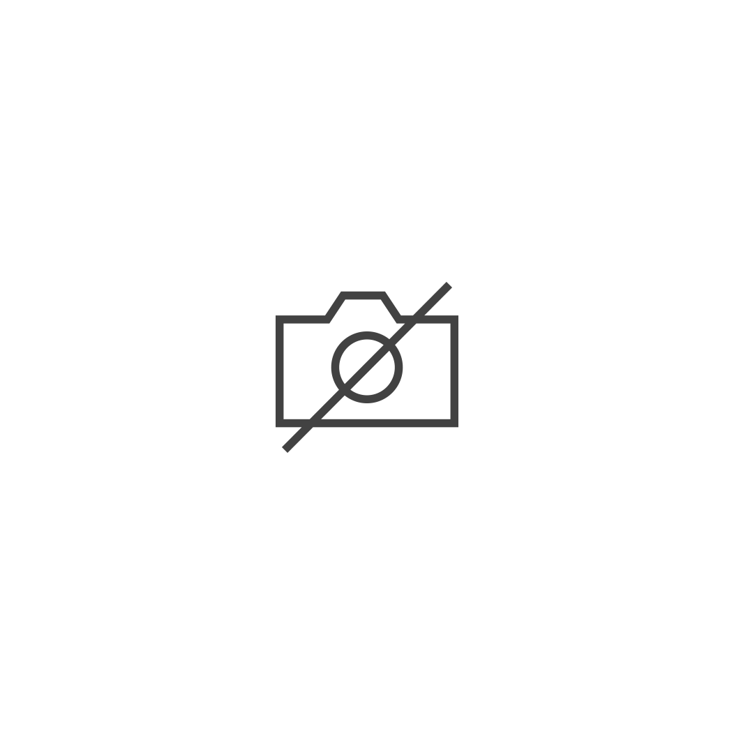 Missing Image Missing Image